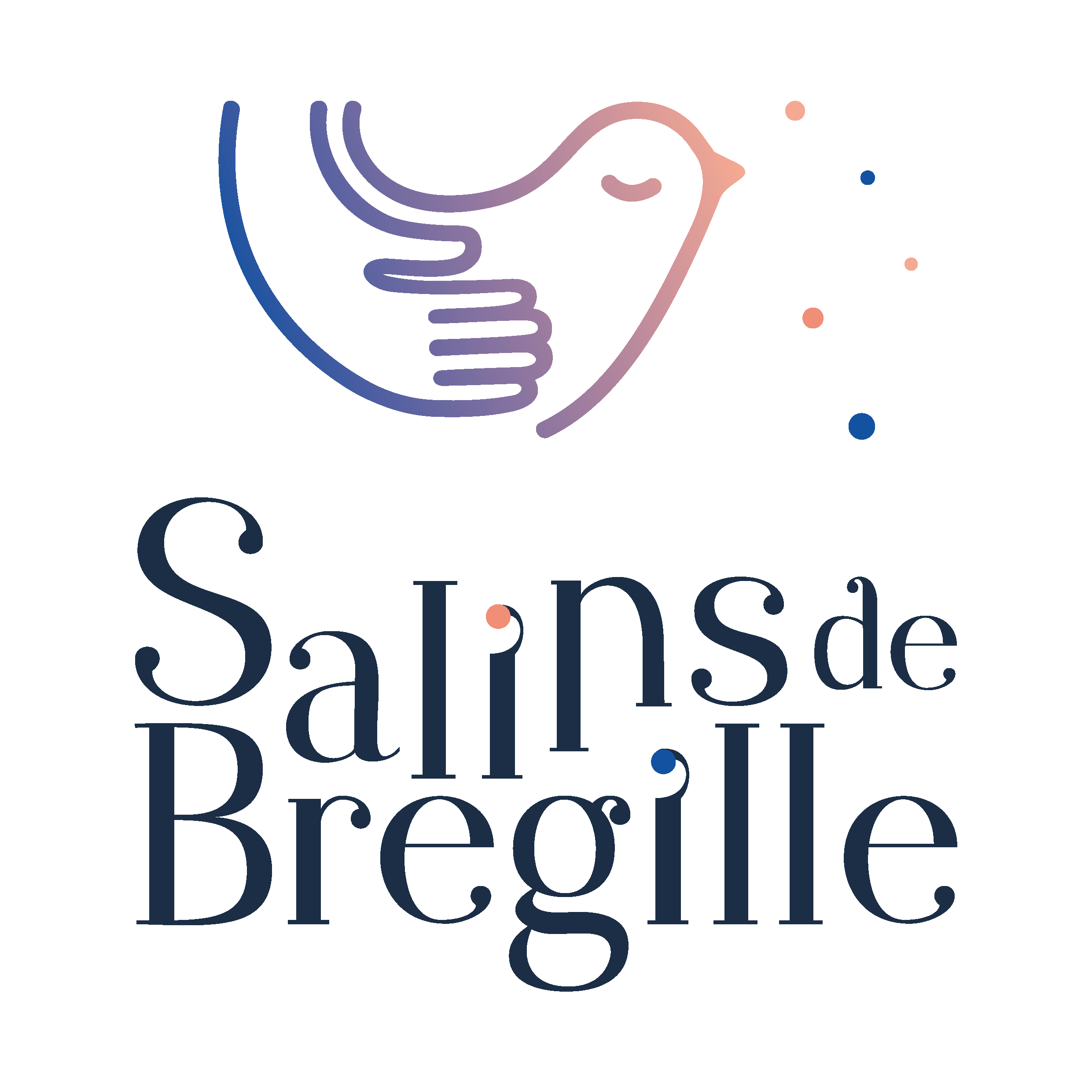 Logo de Salins de Bregilles
