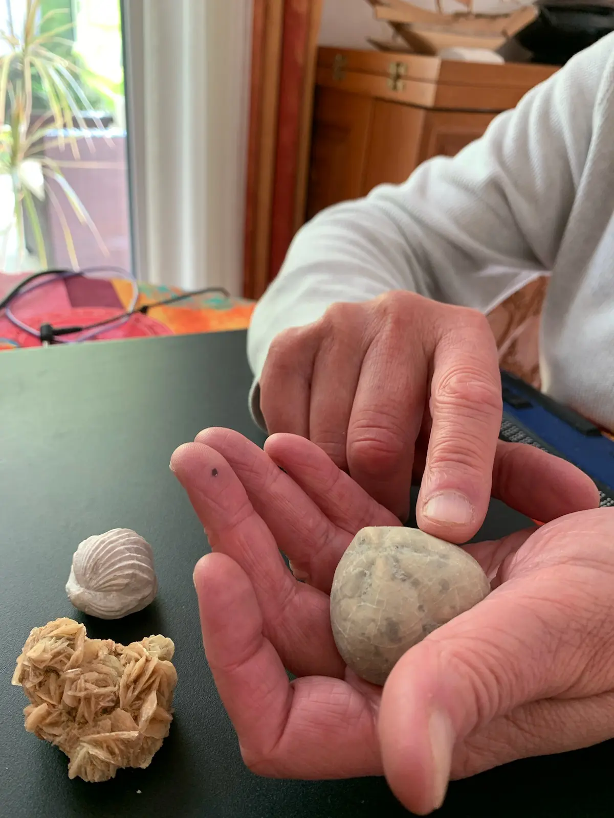 Personne touchant d'u doigt un fossile placé dans sa main gauche.