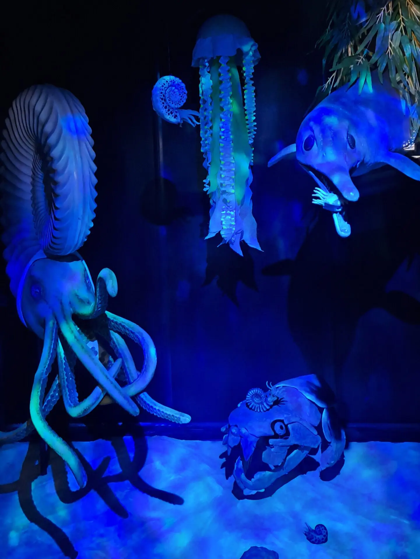 Représentation fond marin