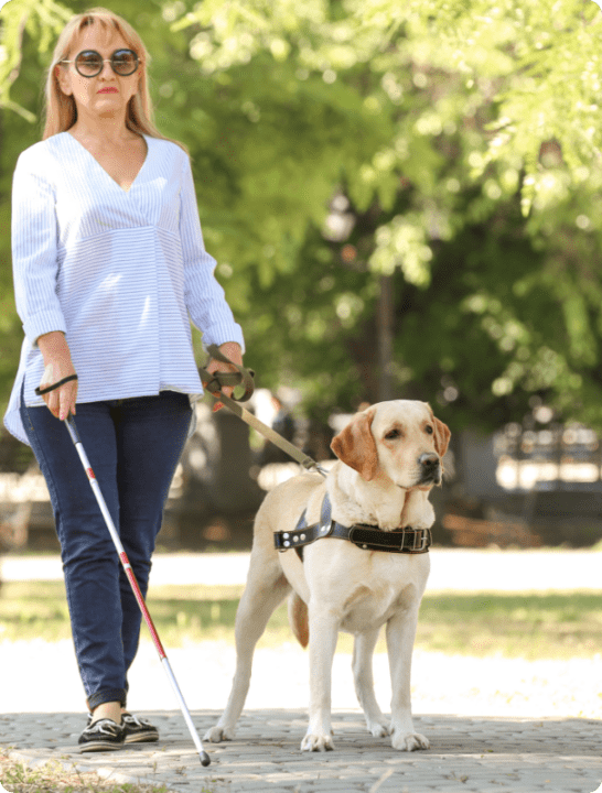 Une femme aveugle se promène avec son chien et une canne dans l'autre main